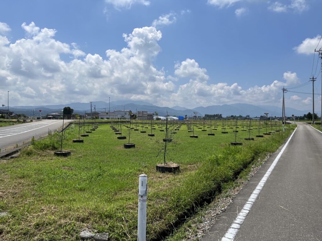 富山に住む・砺波野での暮らし